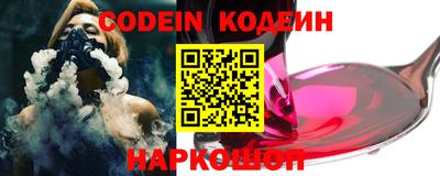 молекула духа Кингисепп