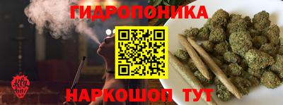 крисы Кимры