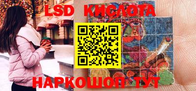 молекула духа Кингисепп